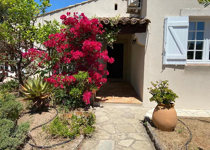 Le Patio à 20 M De La *