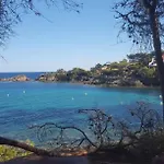 Le Patio A 20 M De La Villa *