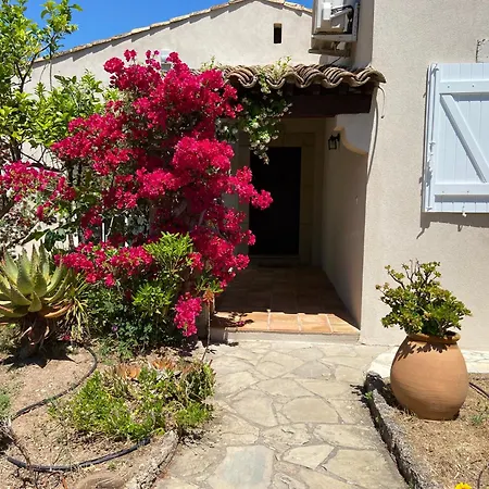 Le Patio A 20 M De La *